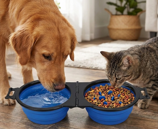 Foldable 2-in-1 Pet Travel Bowl – Portable Food & Water Feeder for Dogs & Cats