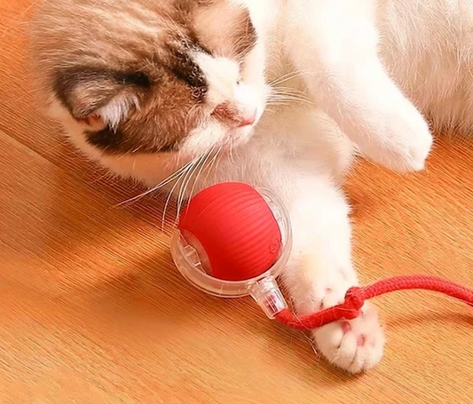 Interactive Rolling Cat Toy – Smart Motion Ball with Realistic Tail for Endless Play