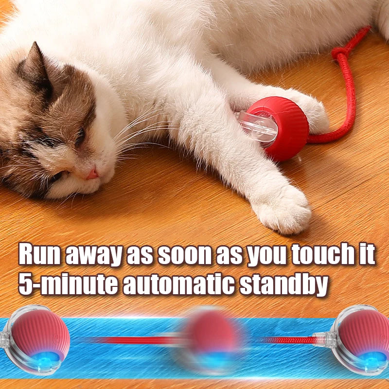 Interactive Rolling Cat Toy – Smart Motion Ball with Realistic Tail for Endless Play