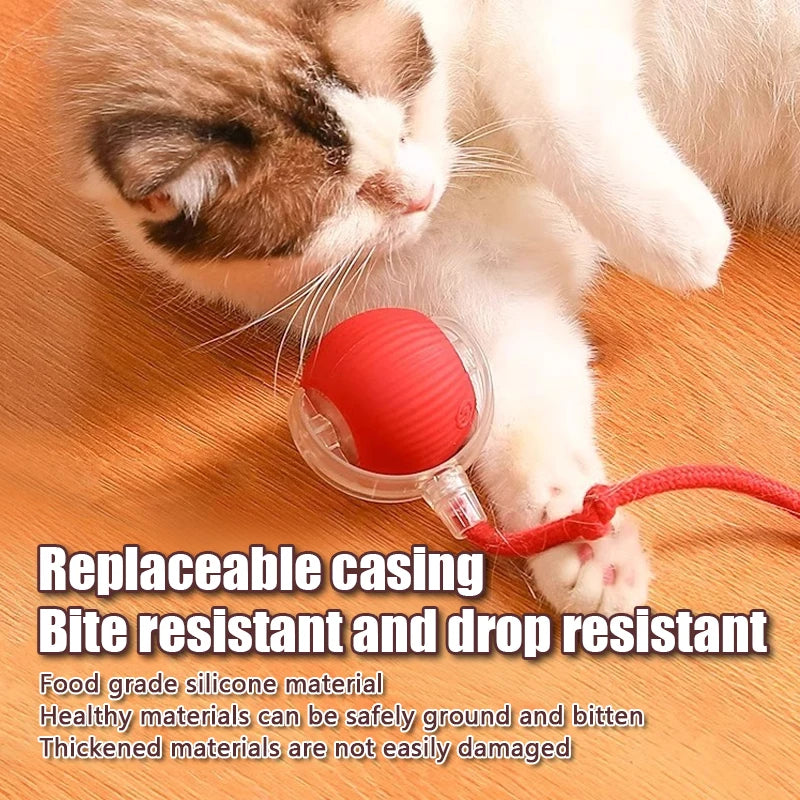 Interactive Rolling Cat Toy – Smart Motion Ball with Realistic Tail for Endless Play